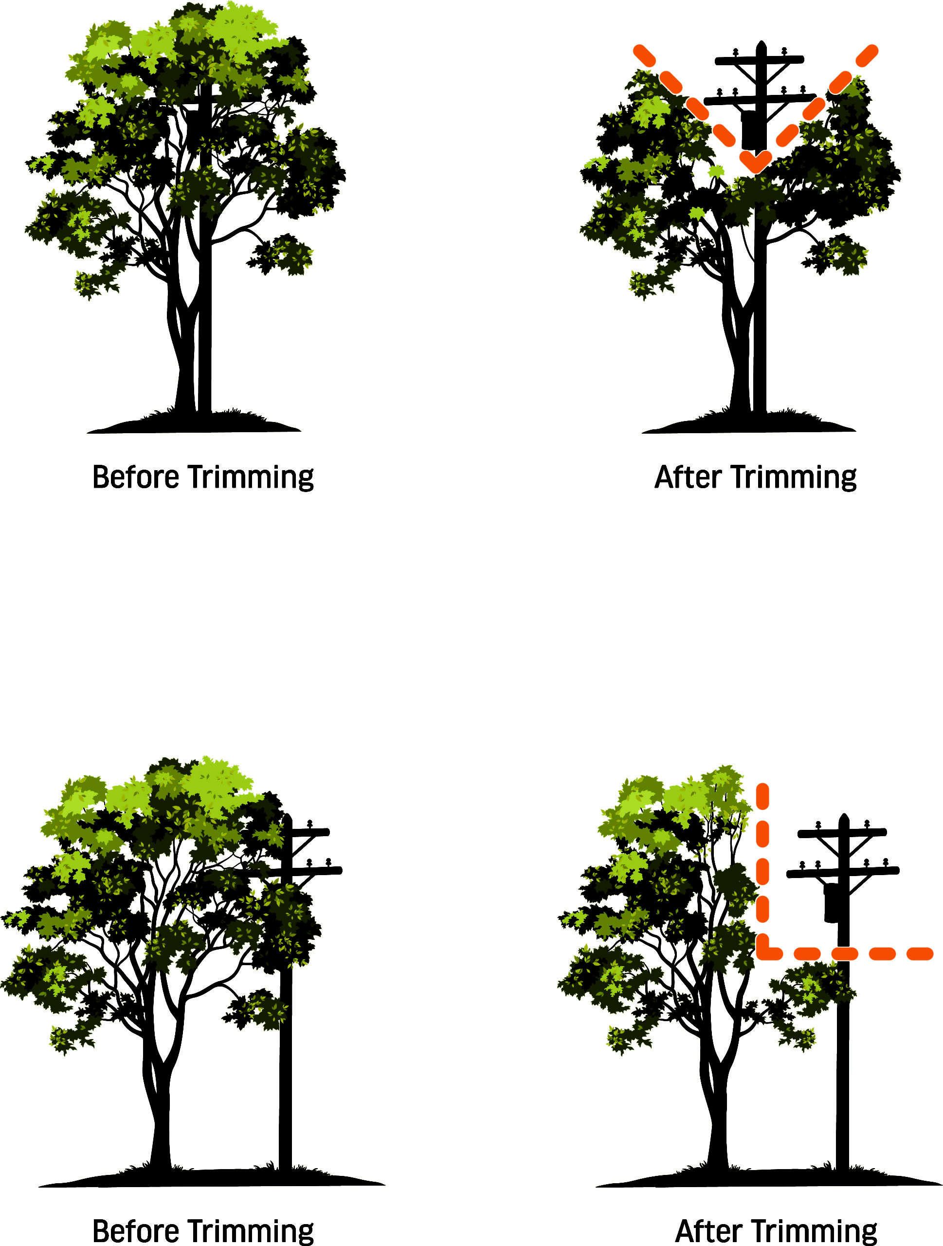 Tree Removal Fort Pierce