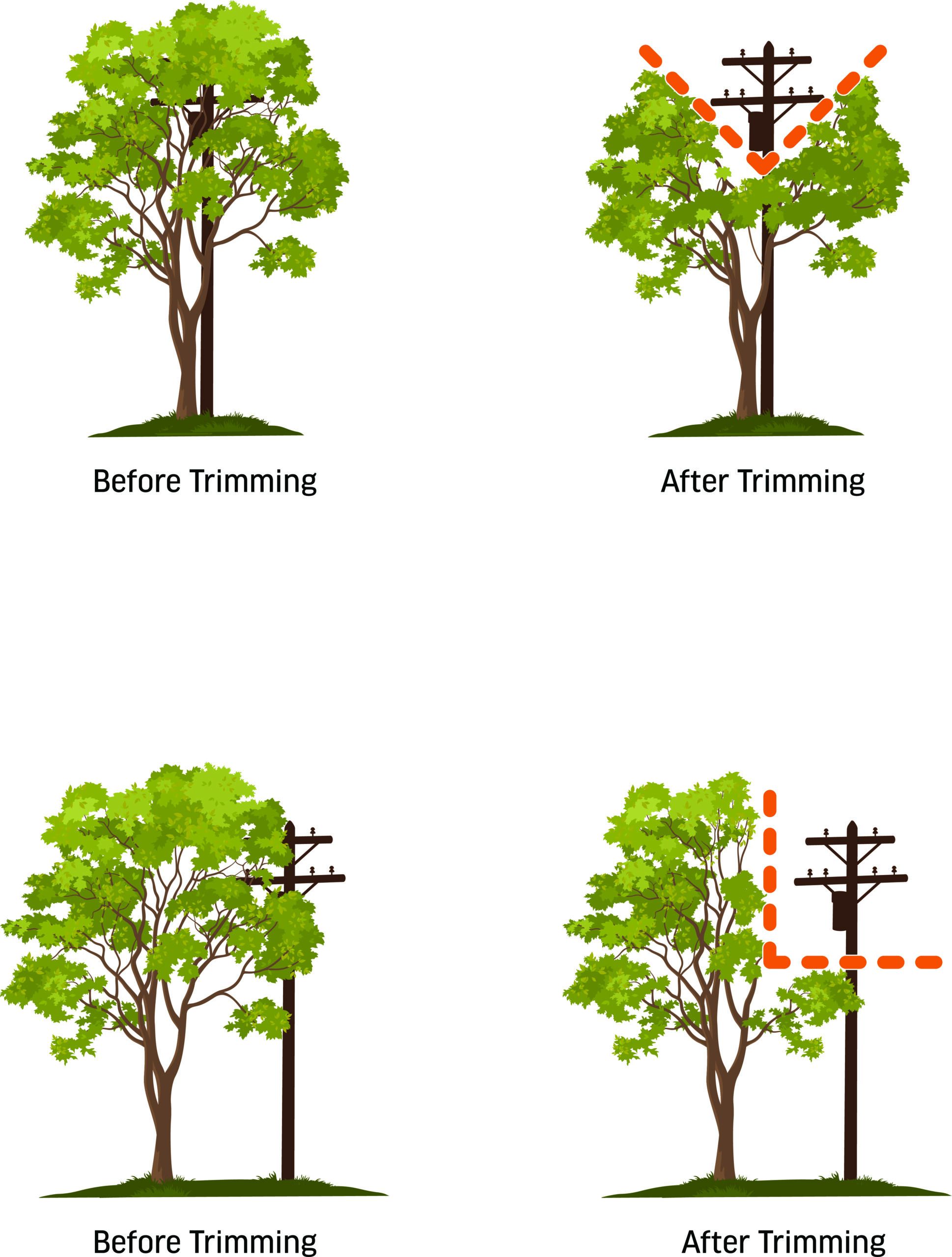 Tree Trimming Services