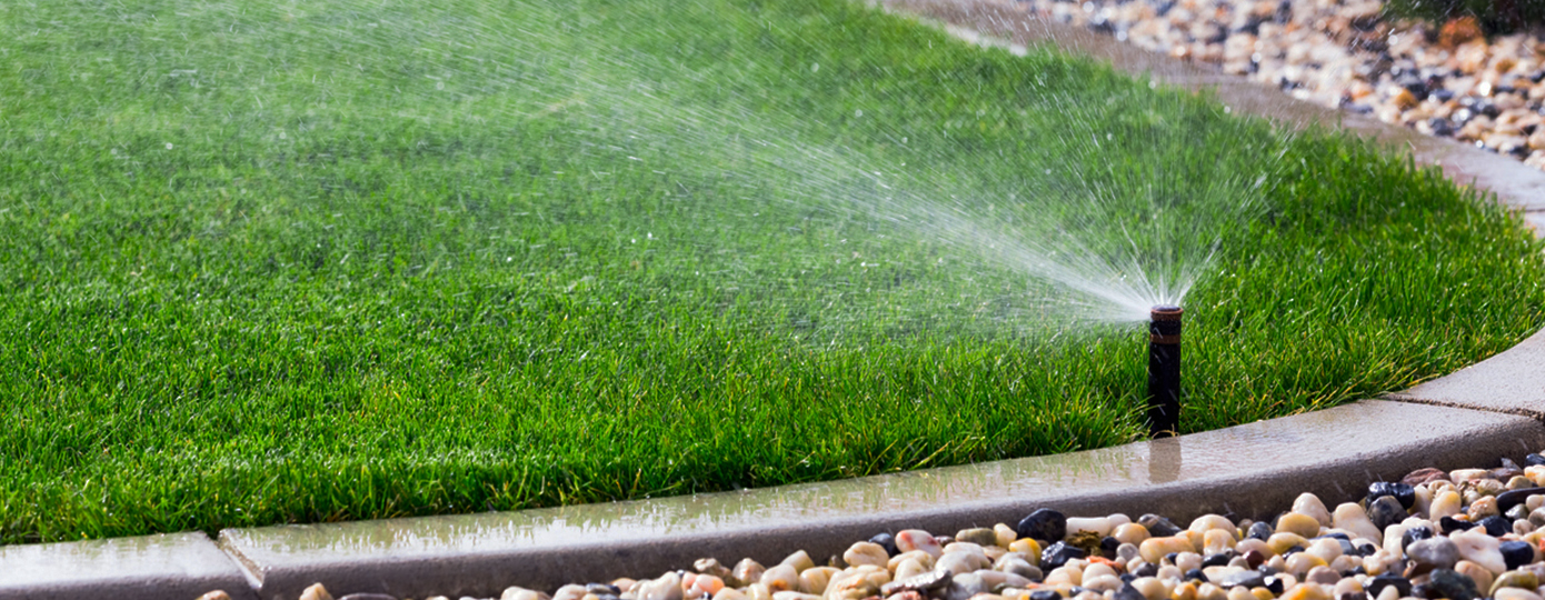 Irrigation Assessments