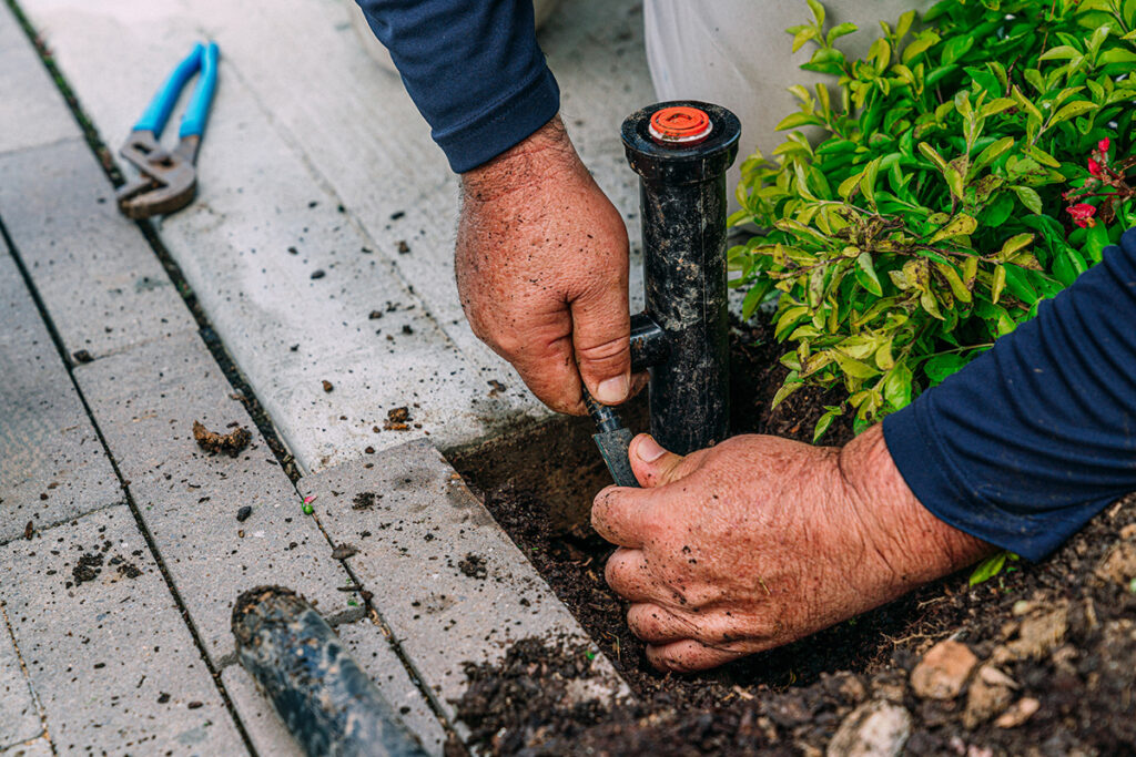 Person repairing or installing a black irrigation sprinkler head in a garden bed next to a plant, with soil and a pair of pliers visible.