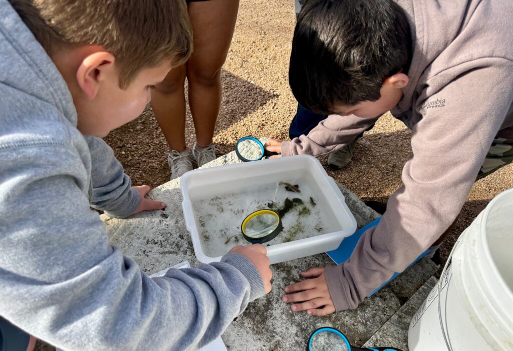 Kids collecting items during a Headwaters at the Comal field trip